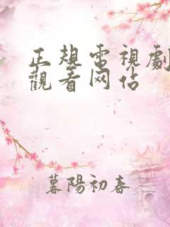 正规电视剧免费观看网站