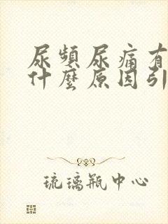 尿频尿痛有点血什么原因引起的
