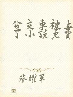 公交车被上高潮了小说免费阅读