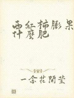 西红柿膨果期冲什么肥