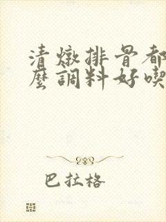 清炖排骨都放什么调料好吃