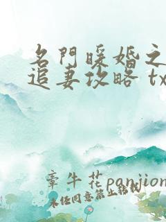 名门暖婚之权爷追妻攻略 txt下载