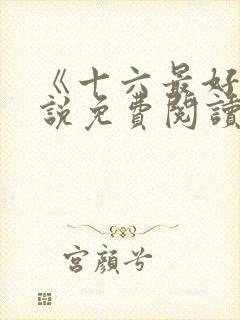 《十六最好》小说免费阅读
