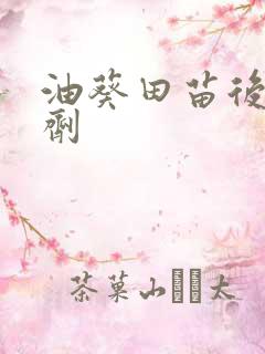 油葵田苗后除草剂