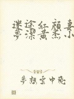 迷途红颜妻子陈梦洁黄杰小说