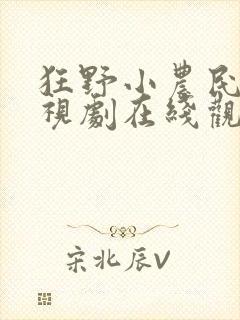 狂野小农民2电视剧在线观看