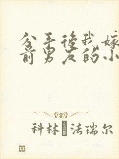 分手后我嫁给了前男友的小叔免费阅读