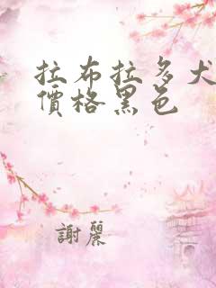 拉布拉多犬幼犬价格黑色