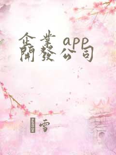 企业 app 开发公司
