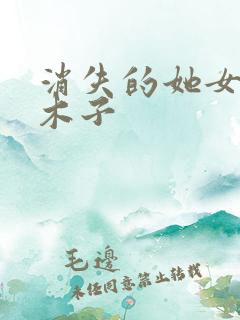 消失的她女主李木子