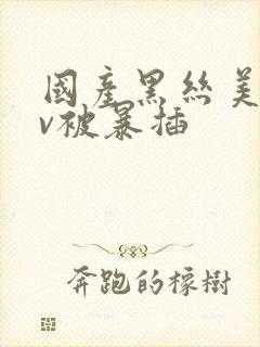 国产黑丝美女av被暴插