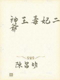 神王毒妃二嫁王爷