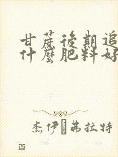 甘蔗后期追肥用什么肥料好