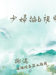 少妇插b视频