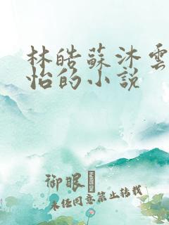 林皓苏沐云李静怡的小说
