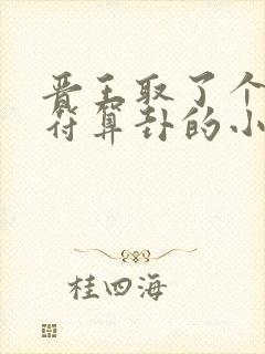 晋王取了个会画符算卦的小王妃小说