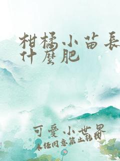 柑橘小苗长根用什么肥