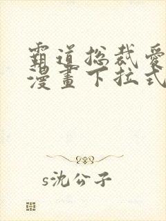 霸道总裁爱上我漫画下拉式免费阅读