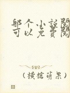 那个小说阅读器可以免费阅读