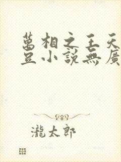 万相之王天蚕土豆小说无广告