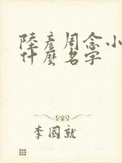 陆彦周念小说叫什么名字