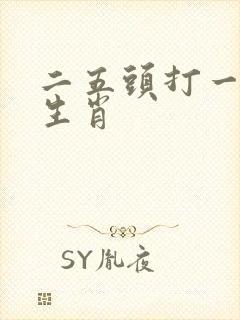 二五头打一准确生肖