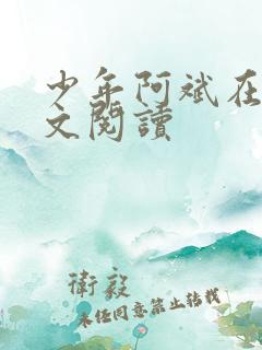 少年阿斌在找全文阅读