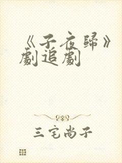 《子夜归》电视剧追剧