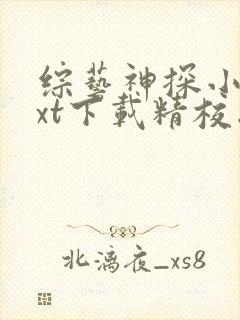 综艺神探小说txt下载精校版