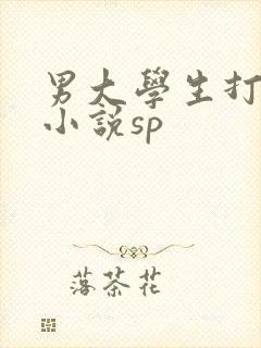 男大学生打屁股小说sp