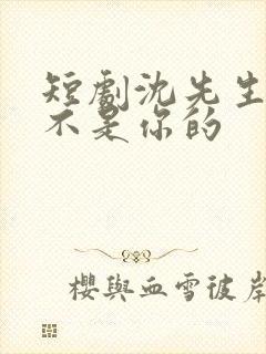 短剧沈先生孩子不是你的