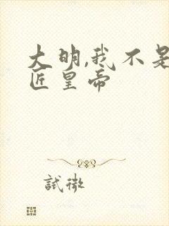大明,我不是木匠皇帝