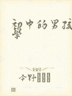 初中的男孩子厌学