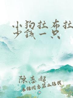 小狗拉布拉多多少钱一只