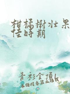 柑橘树壮果肥最佳时期