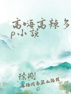 高嗨高辣多肉np小说