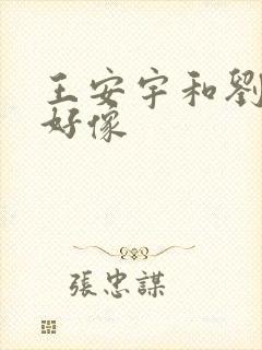 王安宇和刘宇宁好像