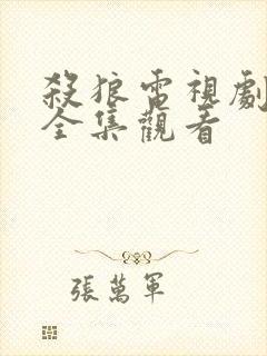 杀狼电视剧免费全集观看