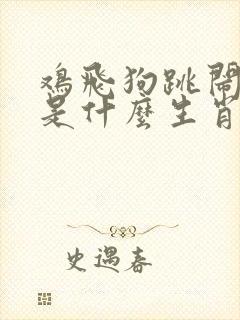 鸡飞狗跳闹翻天是什么生肖