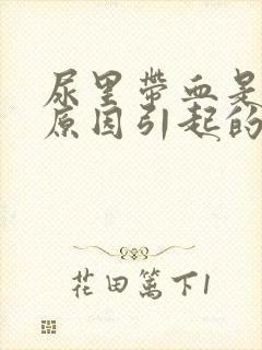尿里带血是什么原因引起的