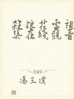 杀狼花电视剧全集在线观看免费