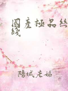 国产极品丝袜在线
