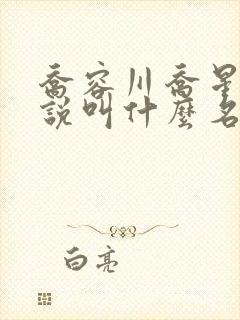 乔容川乔星叶小说叫什么名字