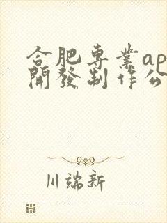 合肥专业app开发制作公司