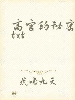 高官的秘密小说txt