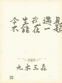 今生我遇见你却不能在一起是什么歌