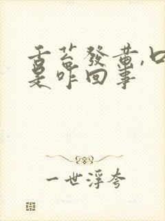 舌苔发黄,口苦是咋回事