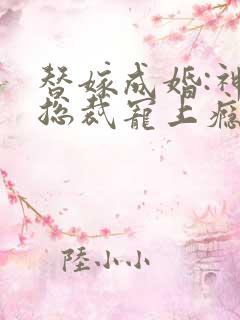 替嫁成婚:神秘总裁宠上瘾