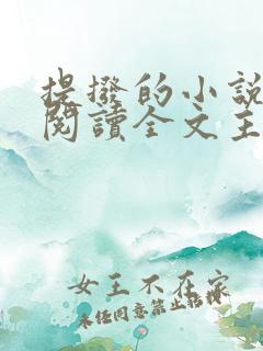 提拨的小说免费阅读全文主角重生