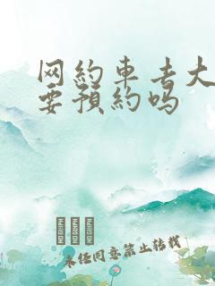 网约车去大梅沙要预约吗